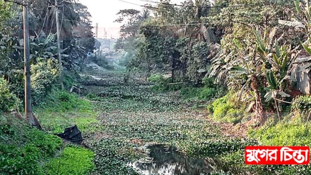বন্দরের খালগুলো অবৈধ দখলে অস্তিত্ব বিলীনের শঙ্কায়